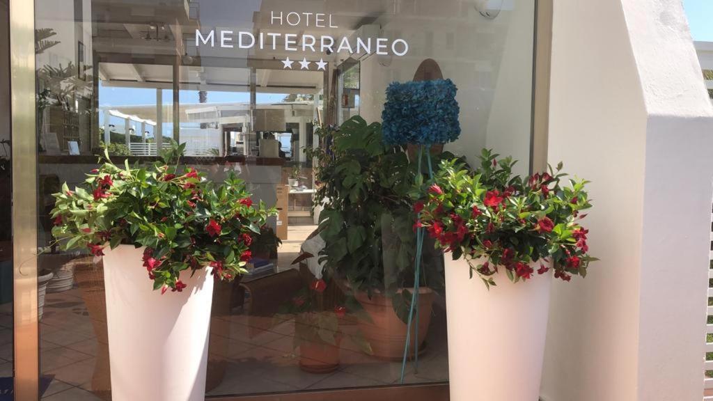 Hotel Mediterraneo Lido di Latina Esterno foto